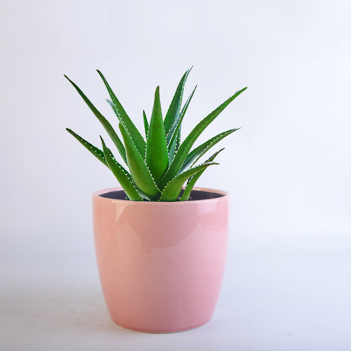 Flower Pot Set Kalsten