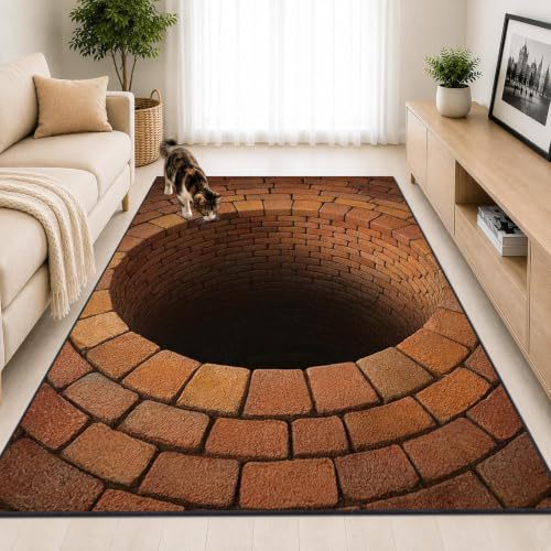 3D Optical Illusion Area Rug