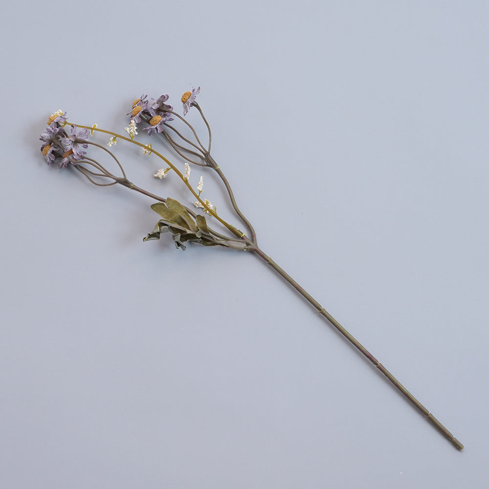 Elegant Dried Botanical Stem