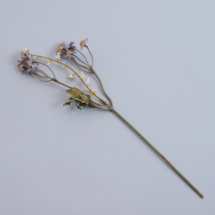 Elegant Dried Botanical Stem