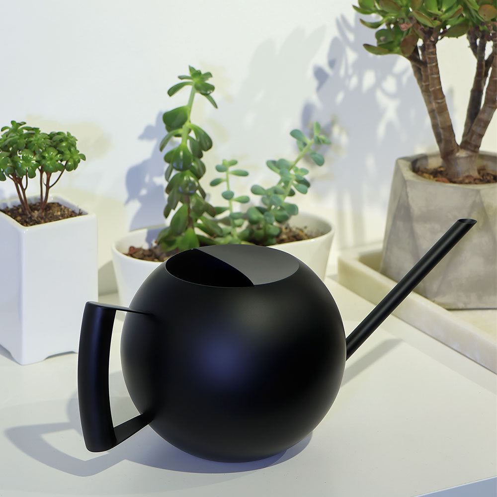 Stylish Watering Can