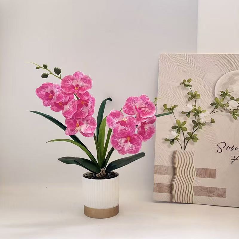 Orchid Floral Pot Arrangement