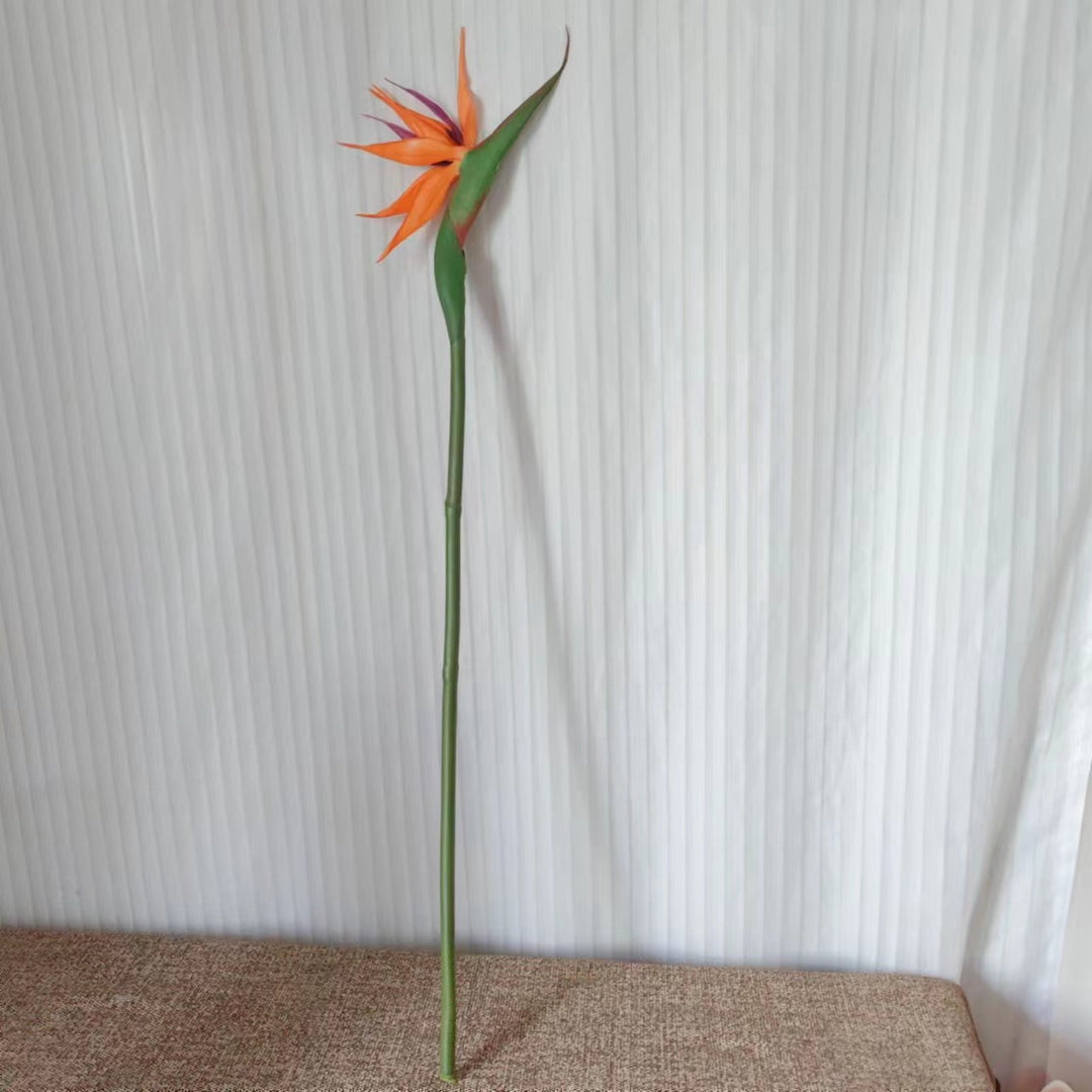 Decorative Bird of Paradise Stem