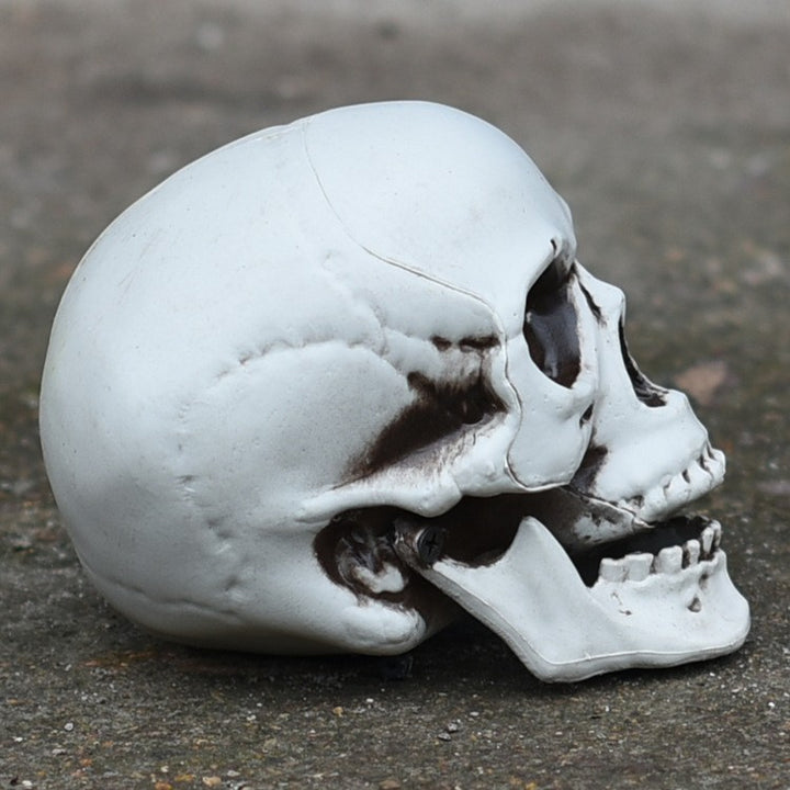 Decorative Skull Phone Stand Kalsten 1790561057
