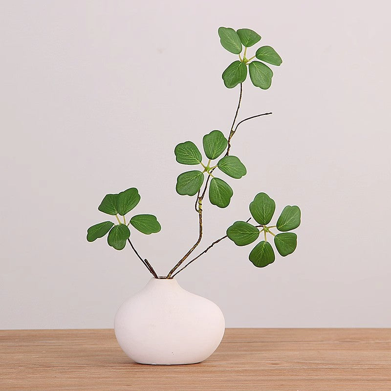 Minimalist Decorative Plant Arrangement