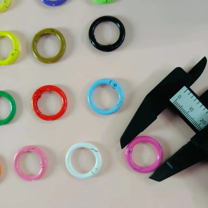 Versatile Clip-On Keyring Kalsten