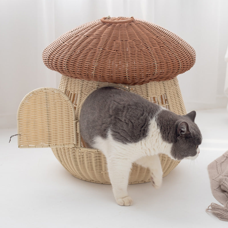 Cat House Kalsten