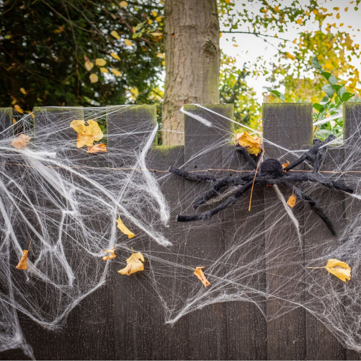 Decorative Spider Web Decor