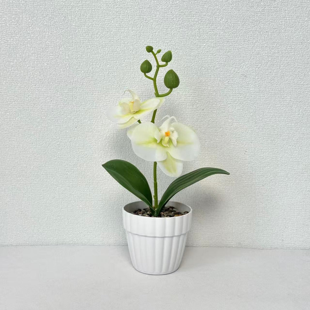 Lifelike Orchid Plant in Decorative Ceramic Pot for Decor