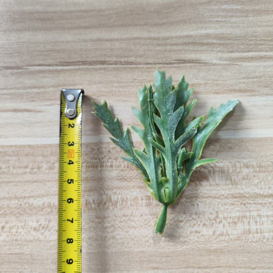 Decorative Green Fern Stem