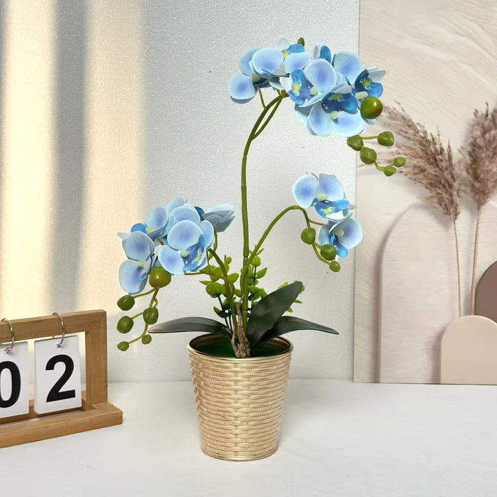 Decorative Orchid Plant for Tabletop Home Decor