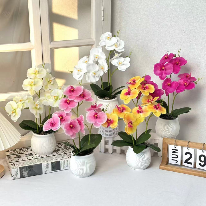 Elegant Orchid Floral Display