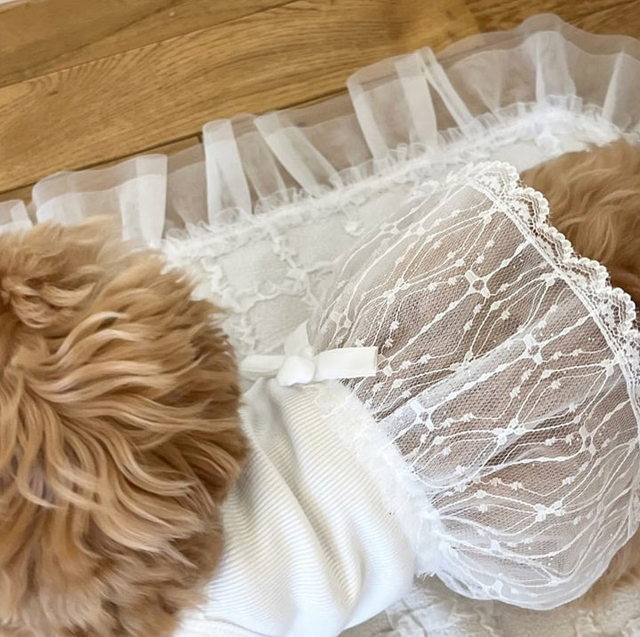 Delicate Lace Tulle Pet Dress with Ribbed Bodice & Decorative