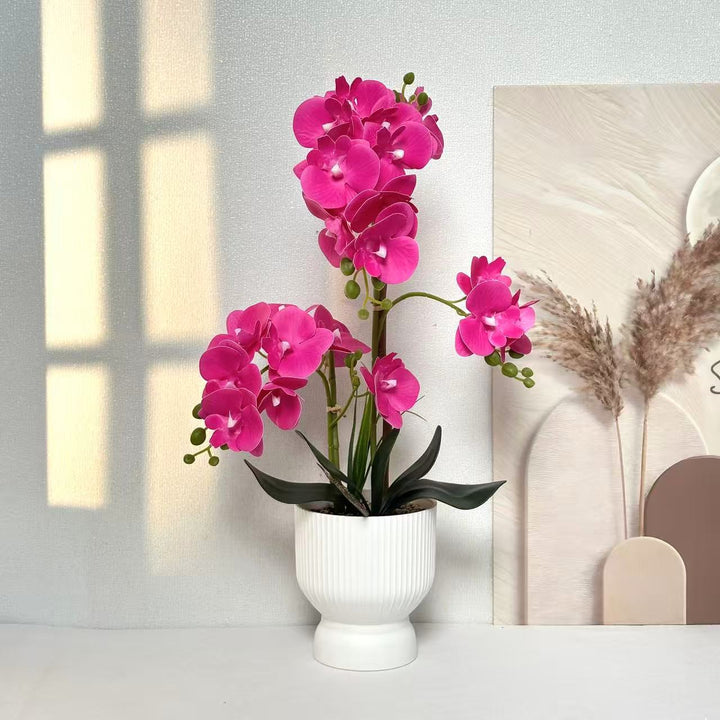Decorative Orchid Plant Arrangement 1790480695 for Decor