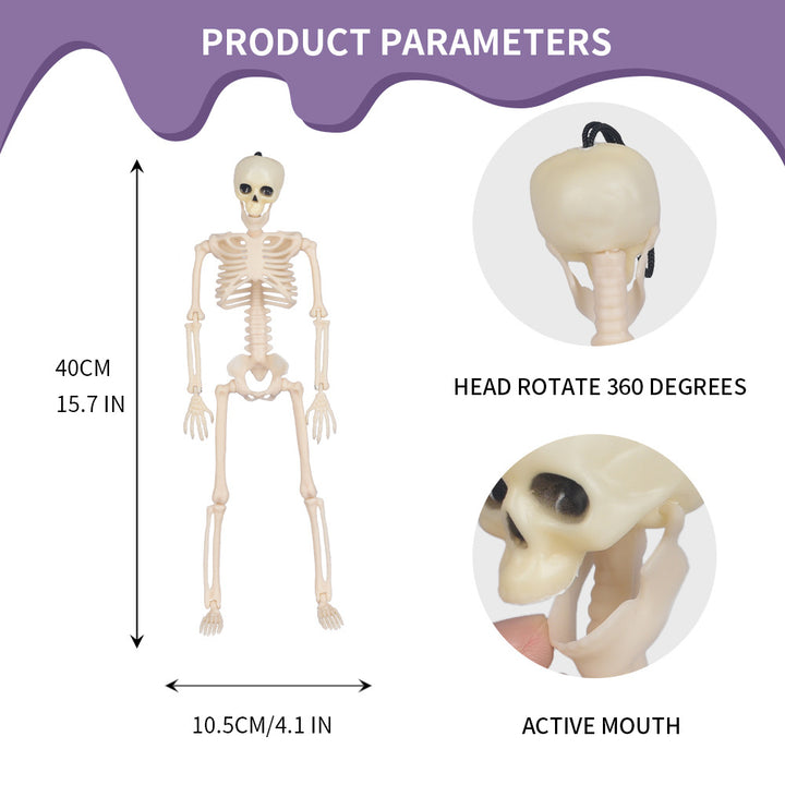 Jointed Posable Skeleton Figures Kalsten