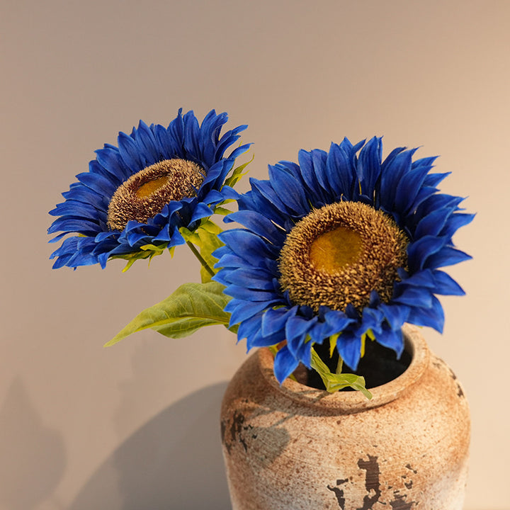 Decorative Plant Kalsten