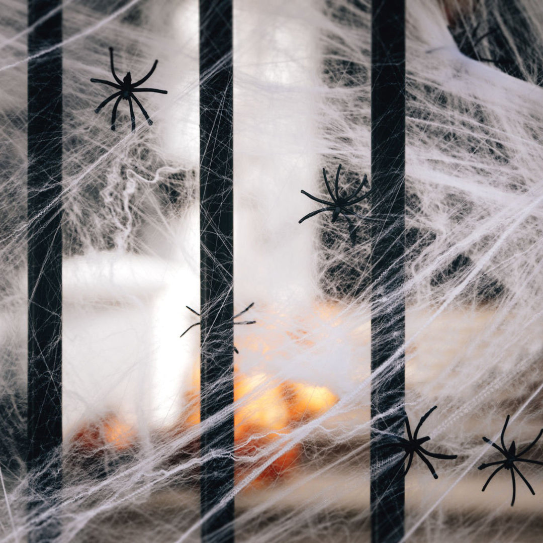 Decorative Spider Web Decor