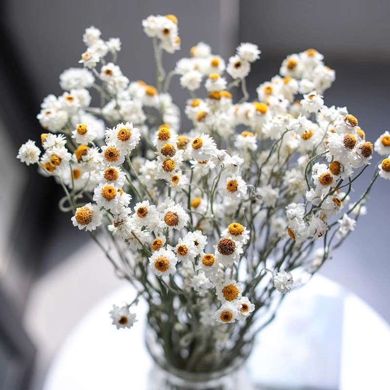Dried Flower Bouquet Arrangement