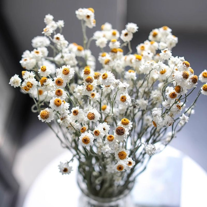 Dried Flower Bouquet Arrangement