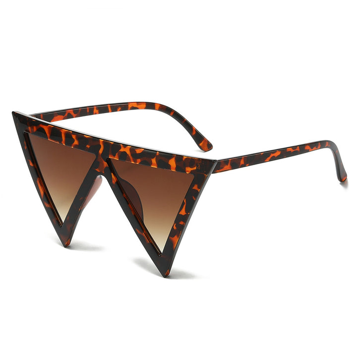 Bold Triangular Frame Sunglasses Kalsten