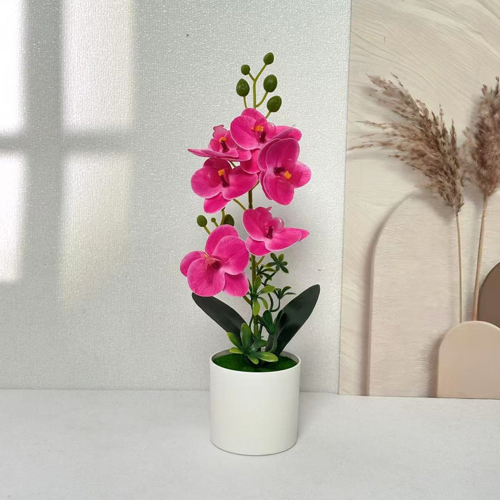 Elegant Orchid Floral Centerpiece