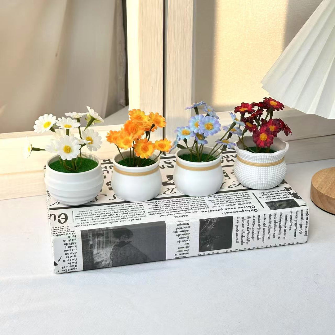 Decorative Daisy Plant Arrangement