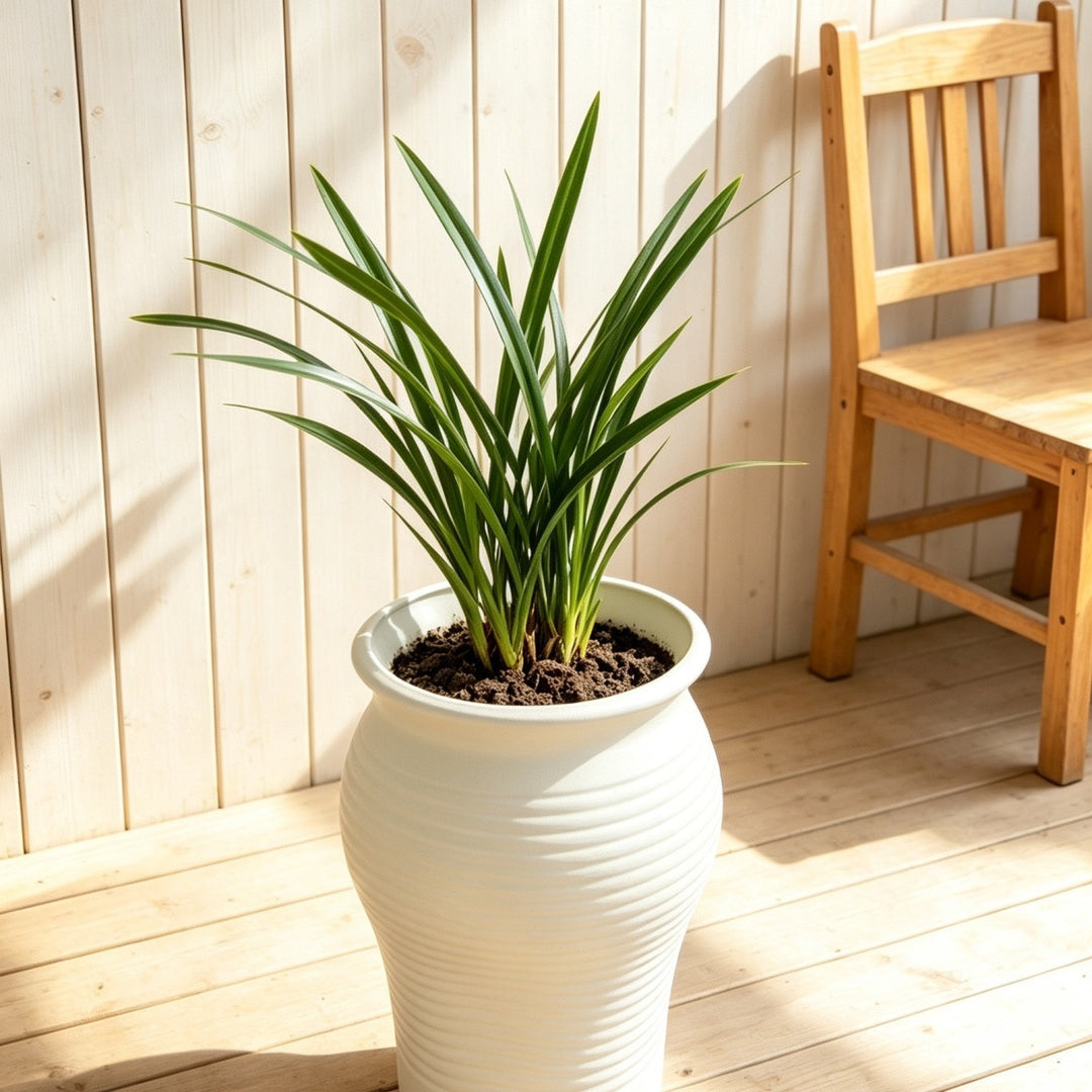 Decorative Planter Kalsten