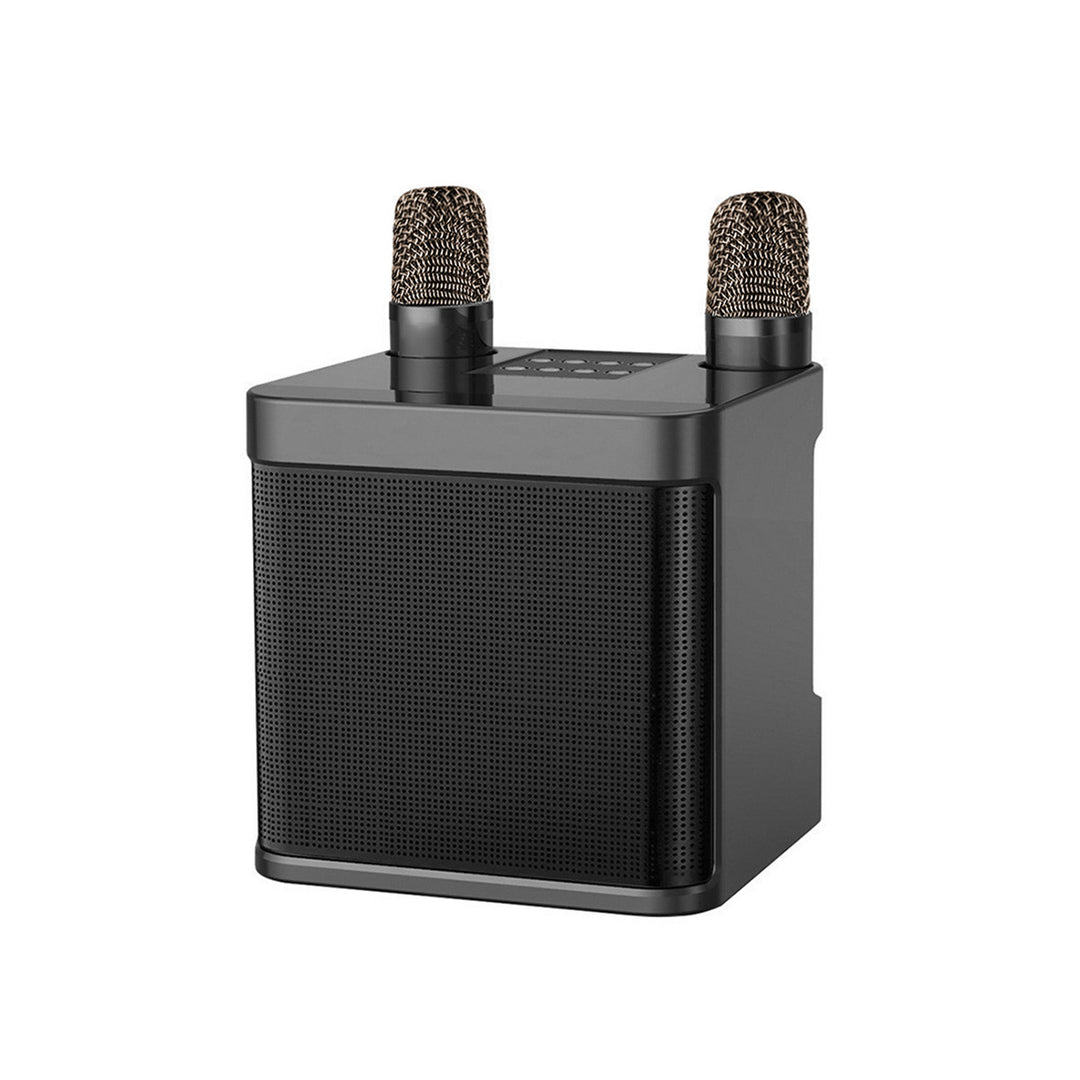 Wireless Karaoke Sound System Kalsten