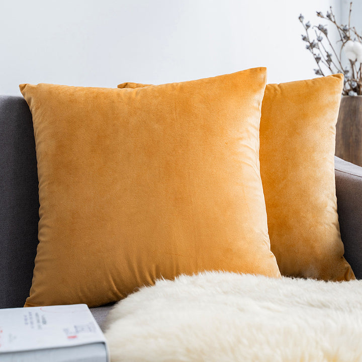 Ultra-Soft Velvet Square Decorative Pillow Cover with Minky Back and Invisible Zipper