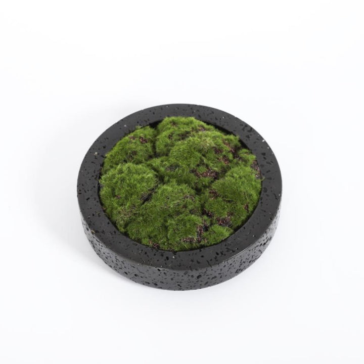 Home decoration Flower pot