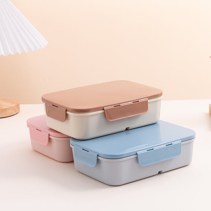 Multi-Layered Lunch Box Set