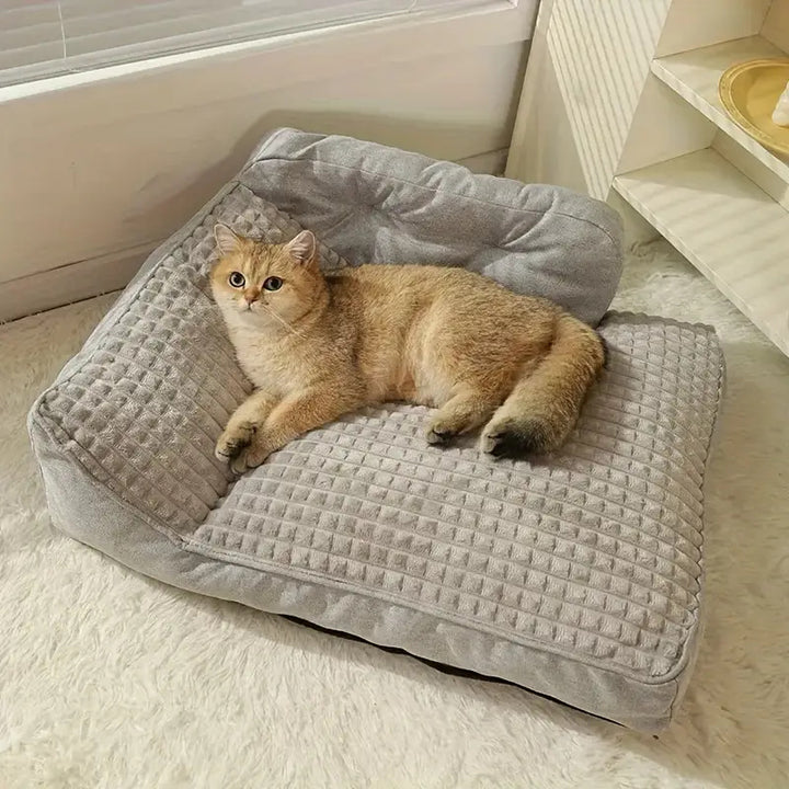 Elevated Orthopedic  Lounge  Dog Bed