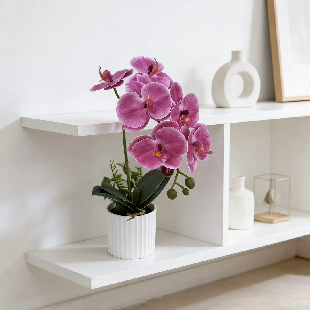 Realistic Faux Orchid Plant Arrangement