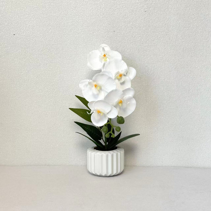 Decorative Potted Orchid for Home Decor Display