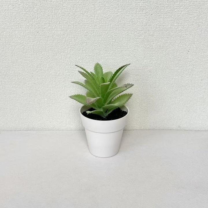 Lifelike Succulent Plant Decor