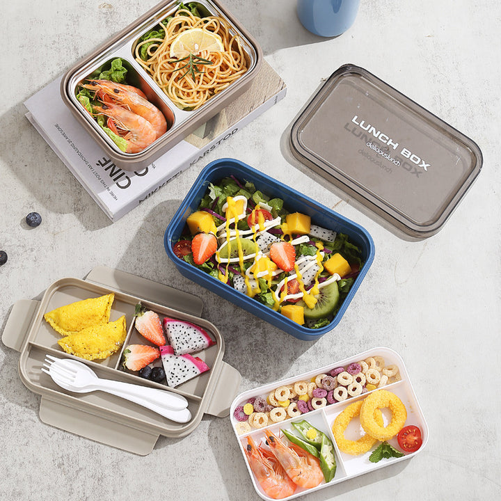 Multi-Sectional Food Storage Bento Lunch Box