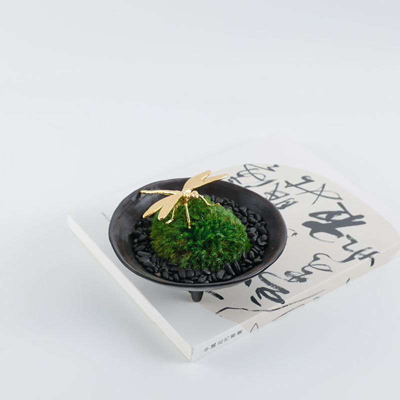 Decorative Botanical Display