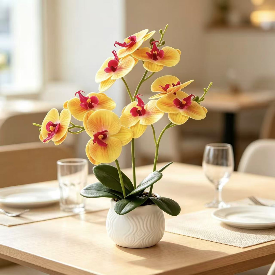 Elegant Orchid Floral Display