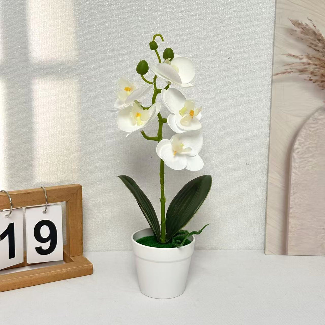 Decorative Artificial Orchid for Home Decor Display