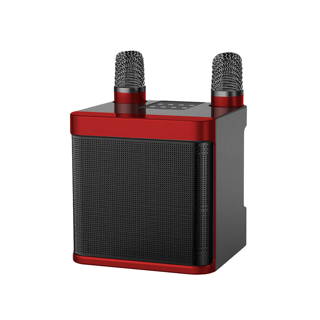 Wireless Karaoke Speaker System with Dual Microphones Kalsten