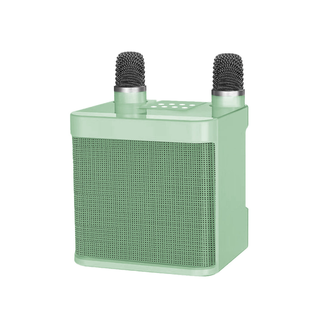 Karaoke Microphone Speaker System Kalsten