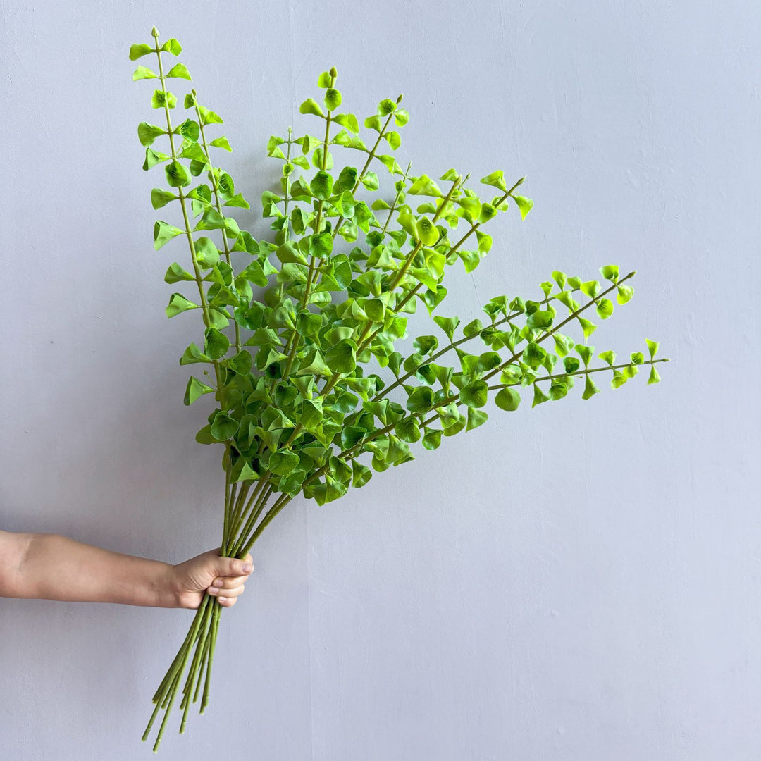 Stylish Indoor Plant Decor