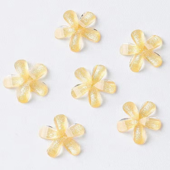 Delicate acrylic flower appliqués Kalsten