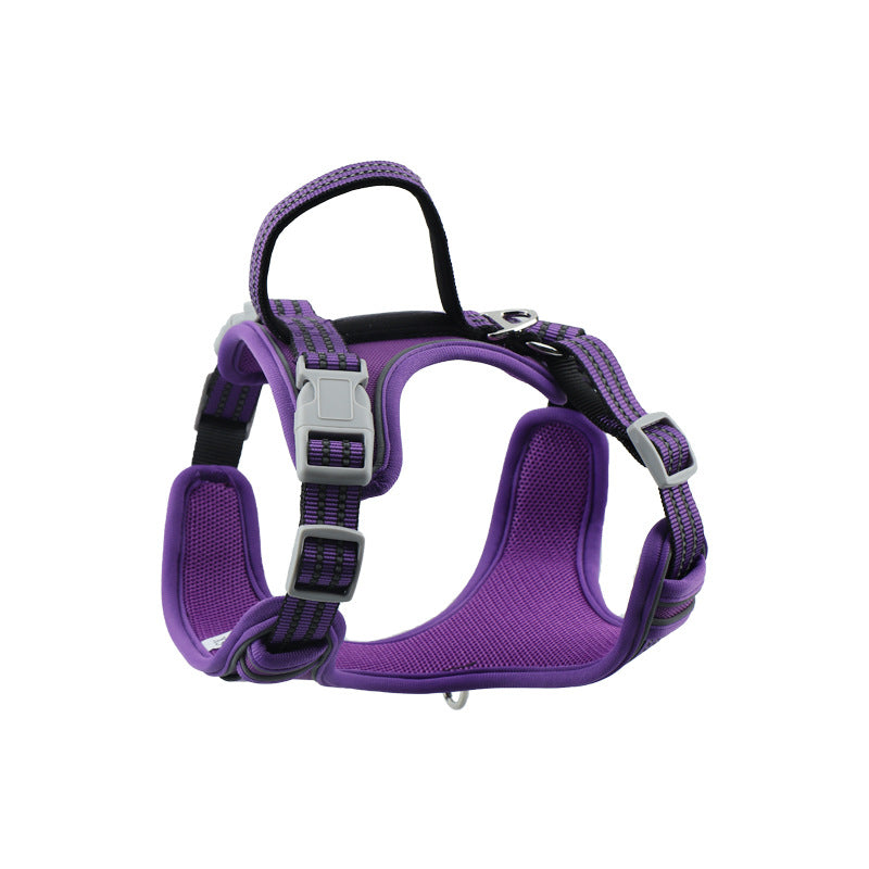 Padded Pet Harness