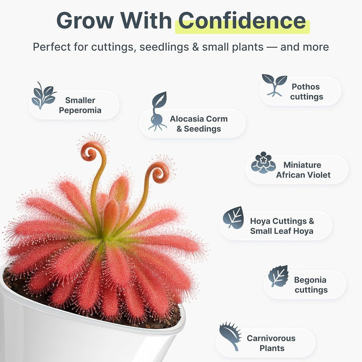 Self-Watering Plant Pot Set Kalsten