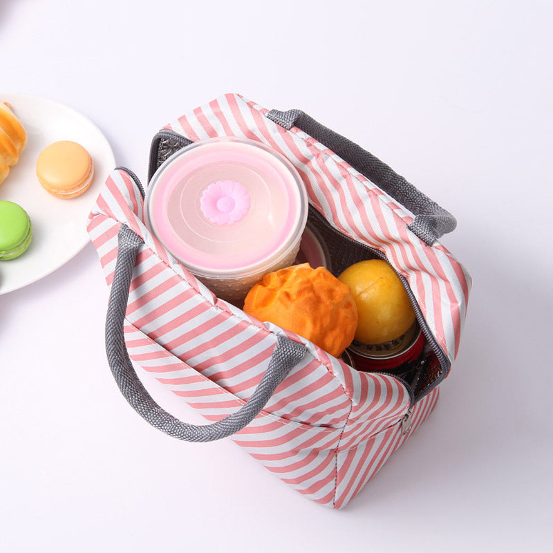Stylish Insulated Lunch Kalsten
