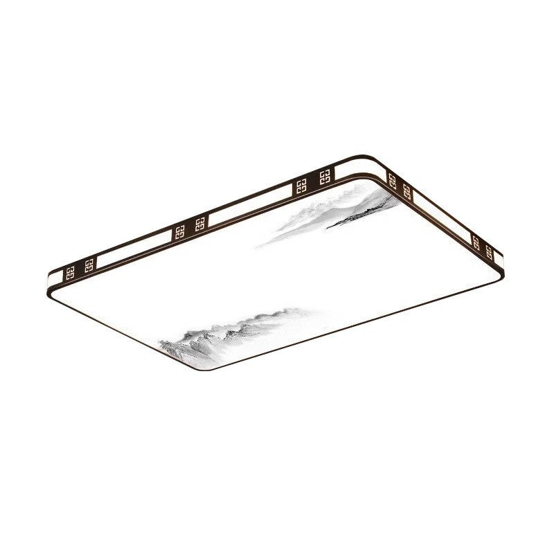 Modern Decorative Ceiling Light