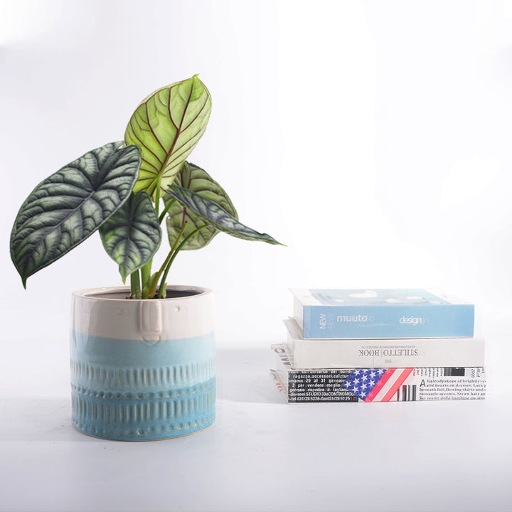 Decorative plant pot with facial features Kalsten