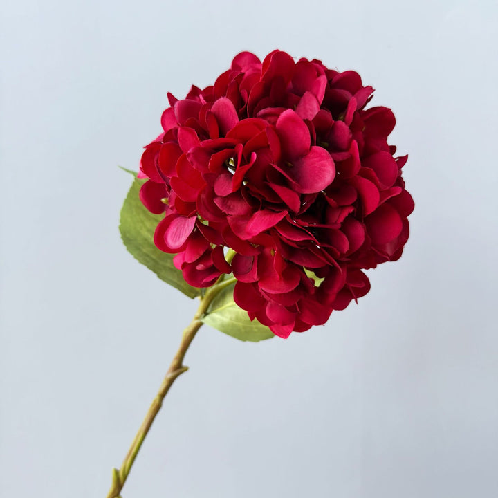 Floral Decorative