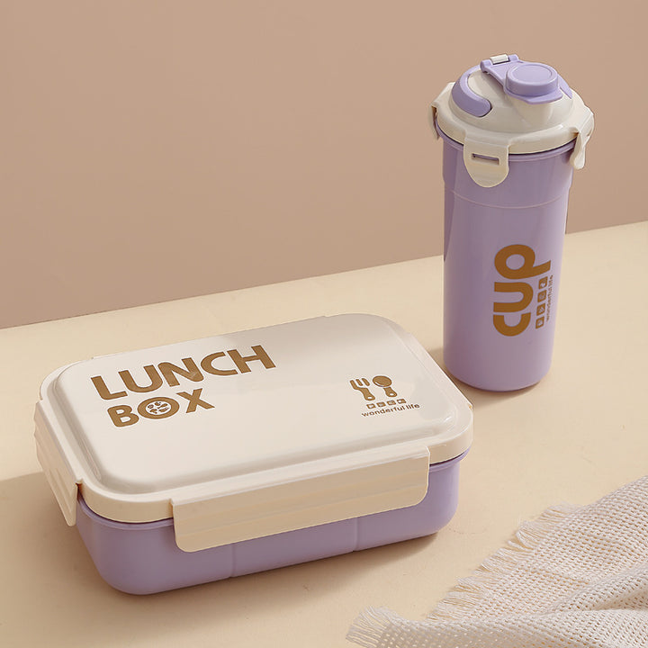 Stylish Insulated Lunch Box